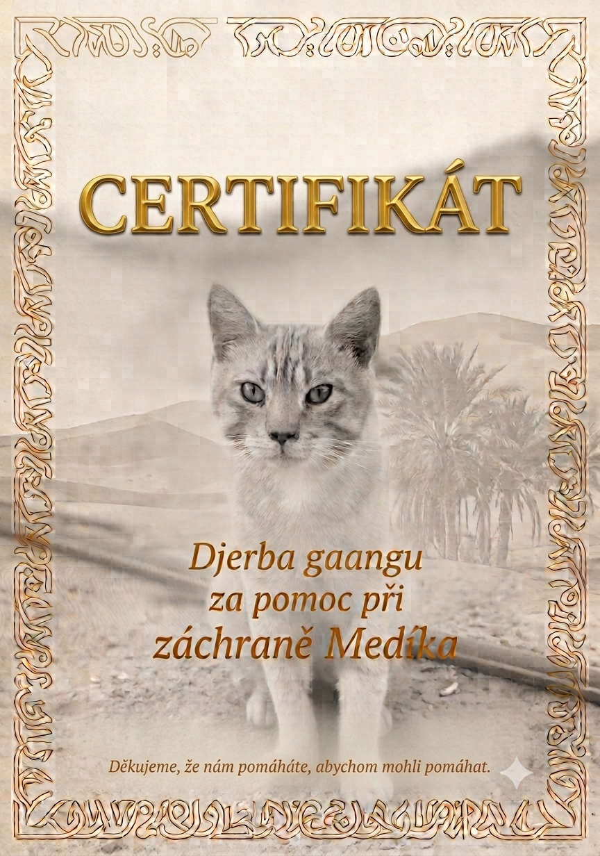 Certifikat_Medik.png